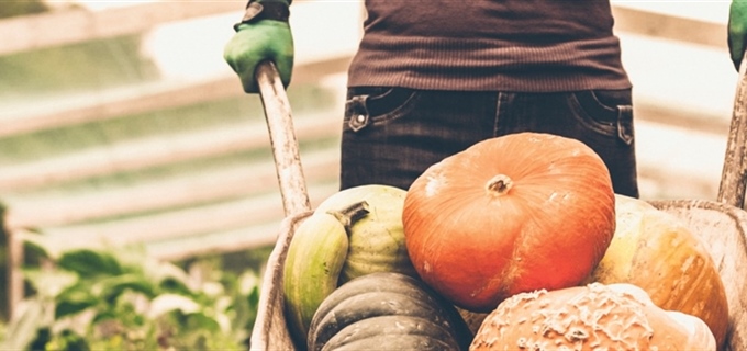 Fall in Love with Seasonal Superfoods