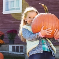 https://connect.bcbsmt.com/cfs-file/__key/communityserver-blogs-components-weblogfiles/00-00-00-00-02/pumpkinBrandS36081.jpg